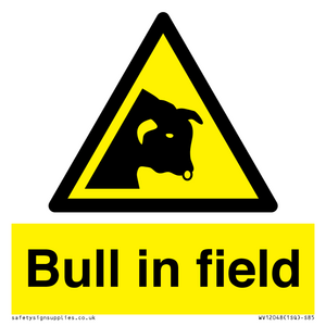 Bull in field